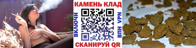 наркотики Дубна ГАШ Cannabis