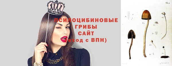 скорость Бородино