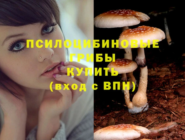 mdma Бронницы