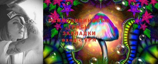 скорость Бородино