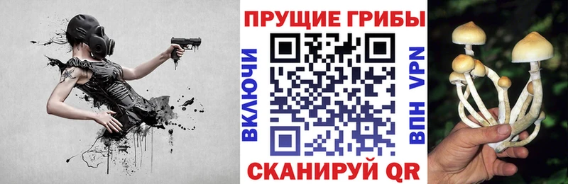 нарко площадка формула  где найти наркотики  Дубна  Псилоцибиновые грибы GOLDEN TEACHER 